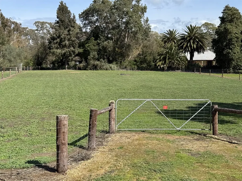 Naracoorte Prime Land Opportunity on 2,778 sqm Build Your Dream Home!