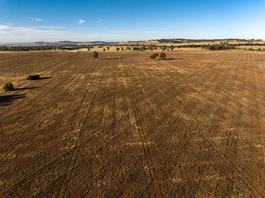 Coolamon  "West Tolmie" - Quality Broadacre Land in Sought-After Coolamon District
