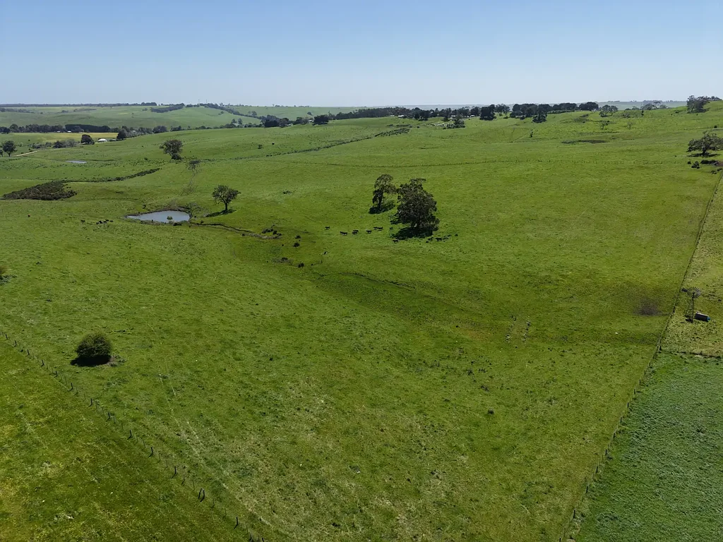 Merino Productive Grazing Opportunity