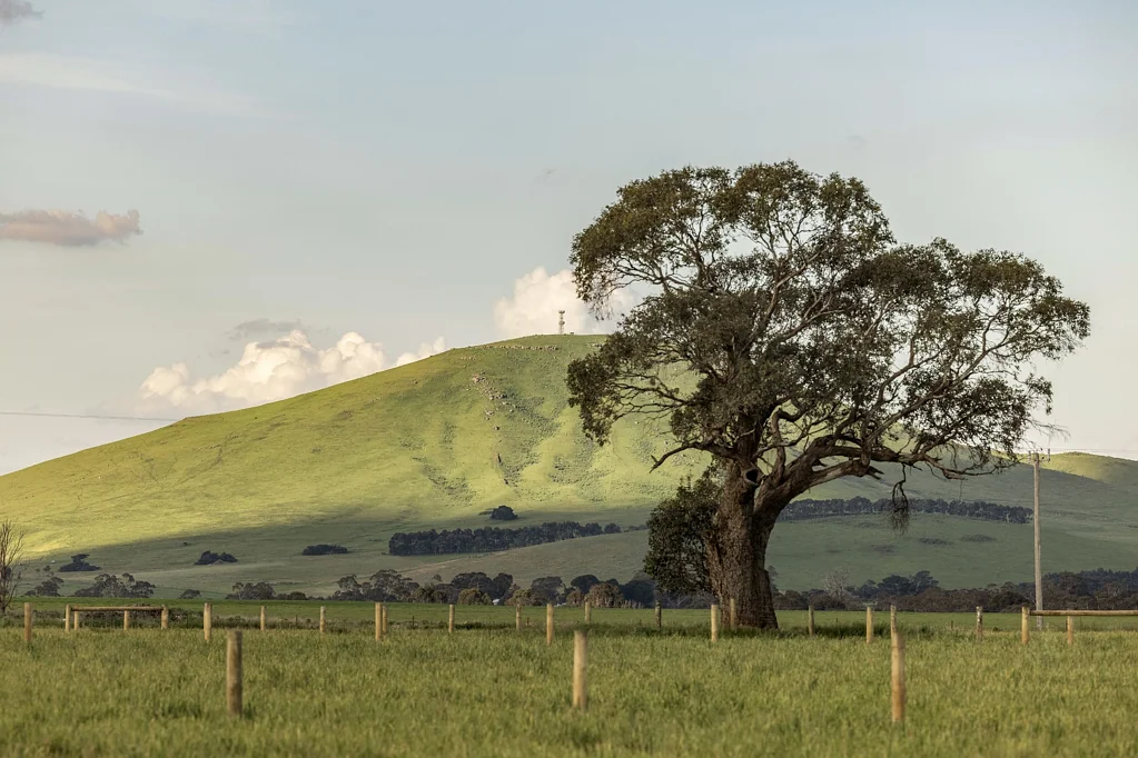 LOT 17 Toose Court, Smeaton, VIC 3364