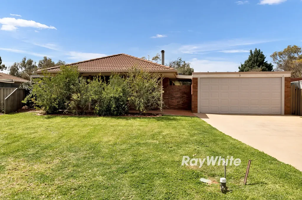 9 Wilkie Drive, Irymple, VIC 3498