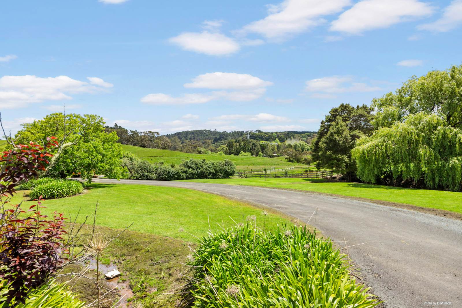 774 Coatesville-Riverhead Highway, Riverhead, Auckland - Rodney, 5 chambres, 0 salles de bain