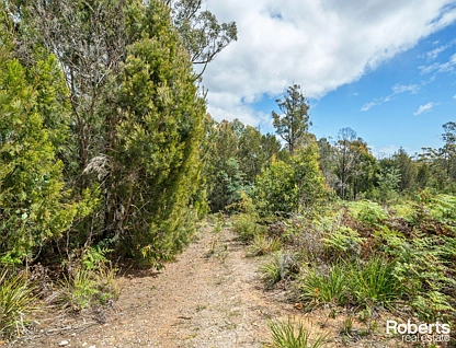 12 Forest Heights Drive, Tugrah, West and North West, 0 Schlafzimmer, 0 Badezimmer, Section