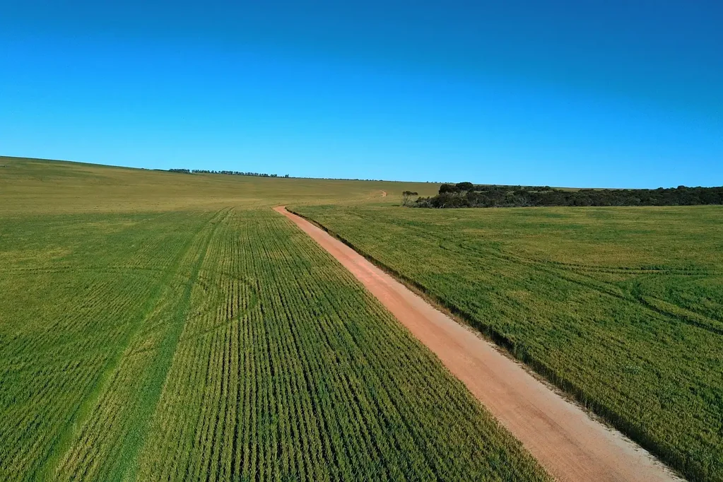 Warradarge  'Central Park',
