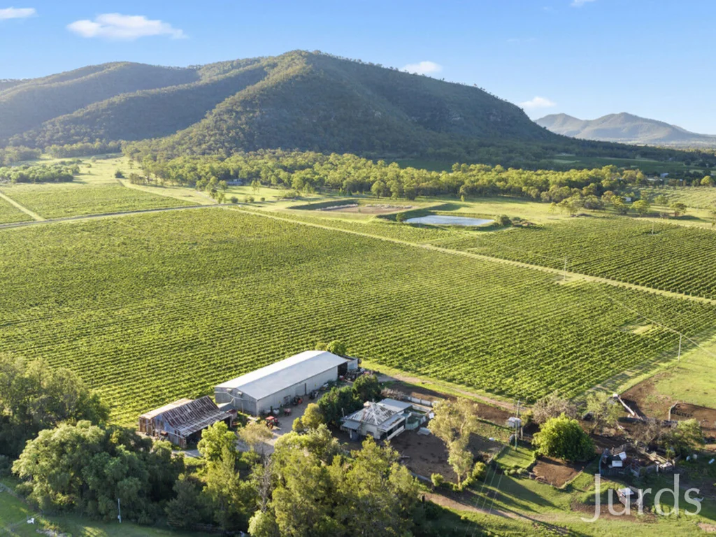 803 Milbrodale Road, Broke, NSW 2330