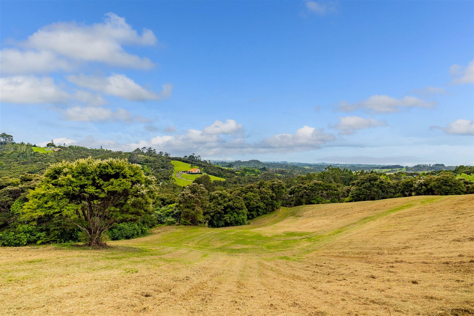 214 Three Oaks Drive, Dairy Flat, Auckland - Rodney, 4 Bedrooms, 1 Bathrooms, Lifestyle Section