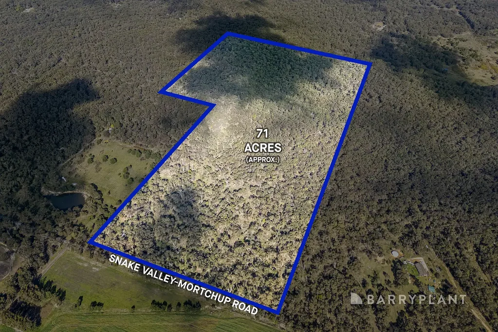 Snake Valley  71 Acres (approx) - Your own Private Sanctuary