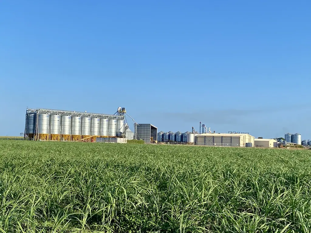 Brandon 363 Acre 14,000 tonne Cane Farm with Secure Irrigation