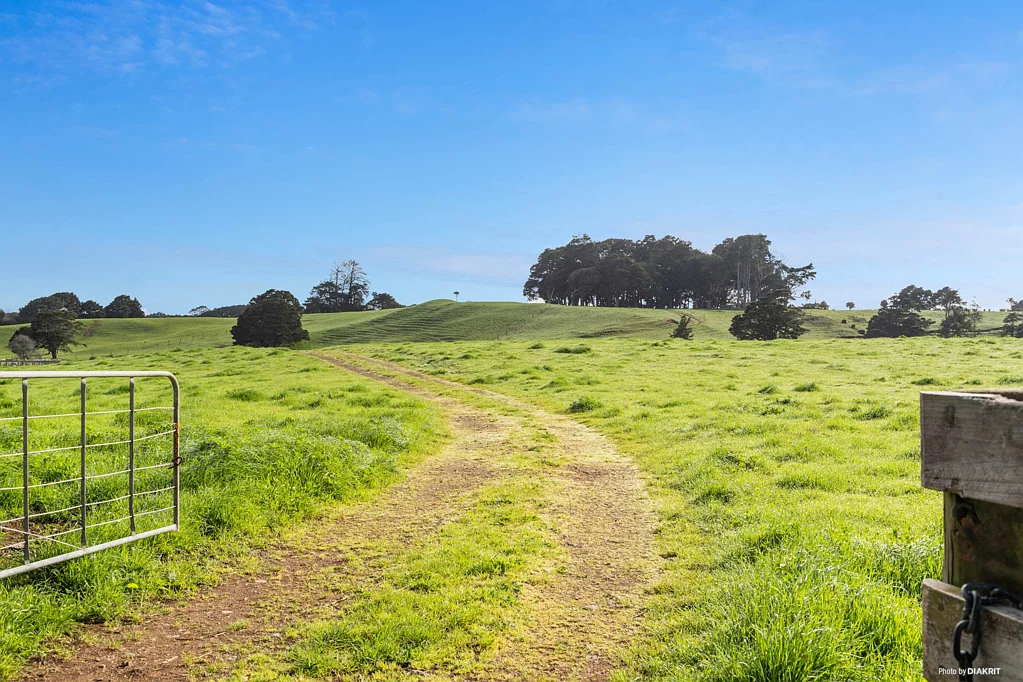 Pukekohe Amazing Space to Create Your Country Lifestyle