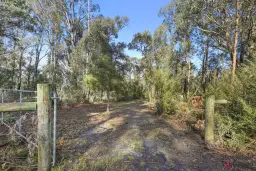 224 Ricardo Road, Mirboo North