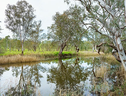 LOT Lot 19 Harrow-Casterton Road, Harrow, Horsham, 0 habitaciones, 0 baños, Lifestyle Property