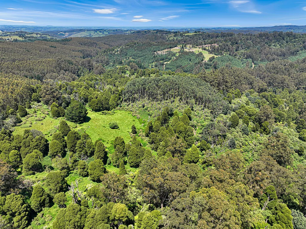 Yarragon A Perfect Place to Build to Play and to Enjoy Nature