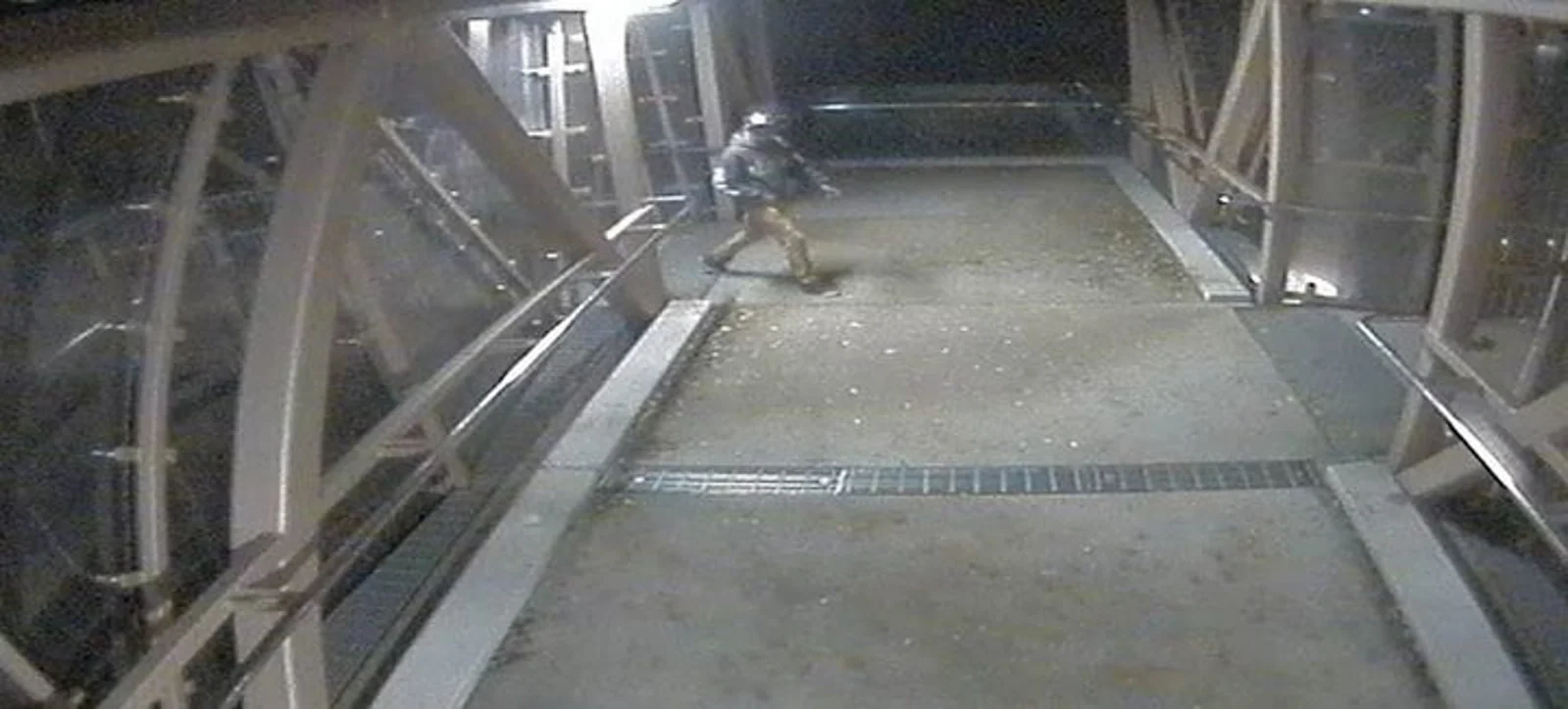 恐怖！奥克兰女子St Mary's Bay街边慢跑遇猥琐男偷袭，被拖进小树林遭性侵