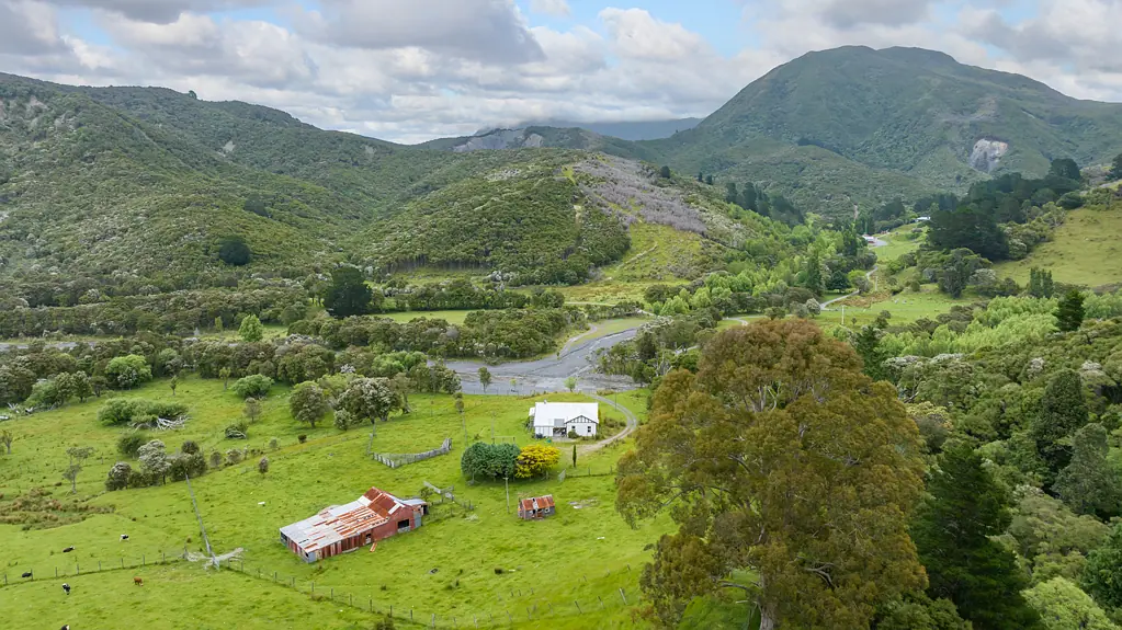 Cape Palliser 5Kwarto 256 acres, 2 titles, Pure NZ, $1.1 million