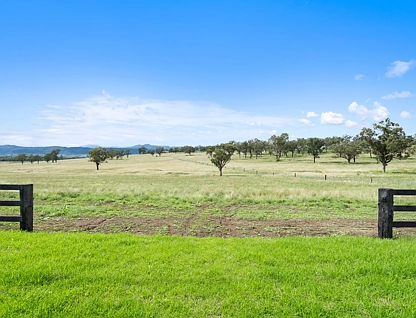 LOT 213 Bakewell Circuit, Scone, Hunter, 0 Schlafzimmer, 0 Badezimmer, Section