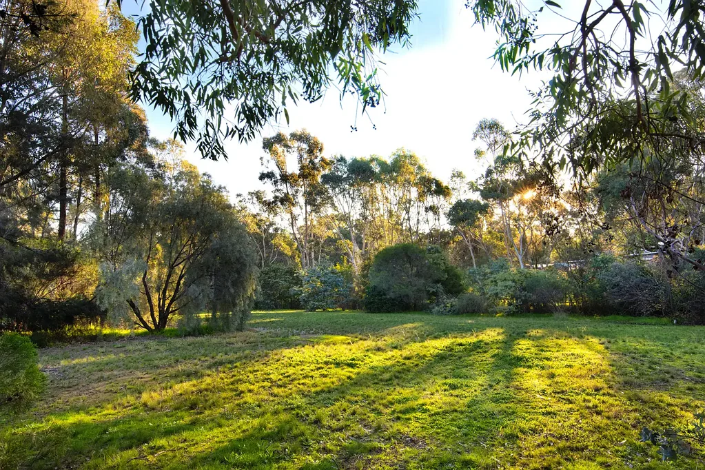 Welshmans Reef  One Acre of opportunity in a peaceful country setting