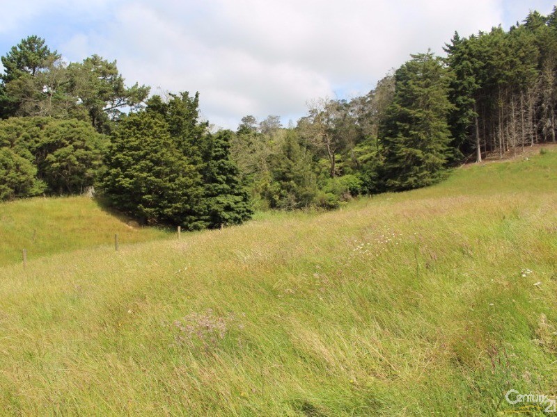 574 Makarau Road, Makarau, Auckland - Rodney, 4 chambres, 0 salles de bain