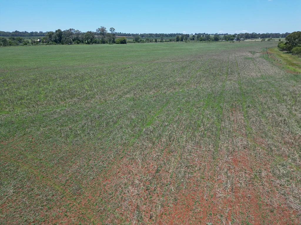 Kingaroy Versatile Rich Red Soil on the doorstep Kingaroy.