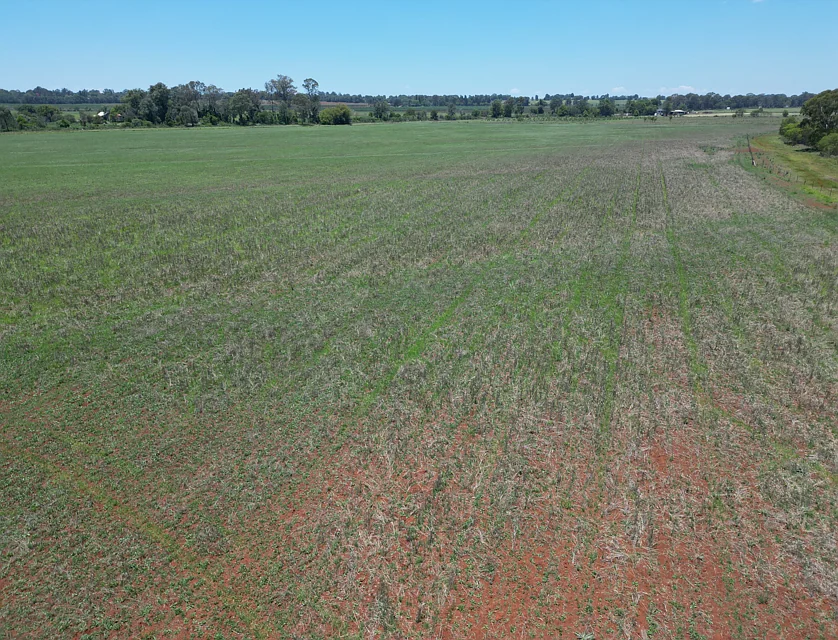 50 D'Aguilar Highway, Kingaroy, Wide Bay, 0房, 0浴, Lifestyle Property