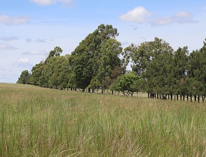 'Anthony's Block' Wagners Road, Boynewood, Mundubbera, Wide Bay, 0房, 0浴, Lifestyle Property