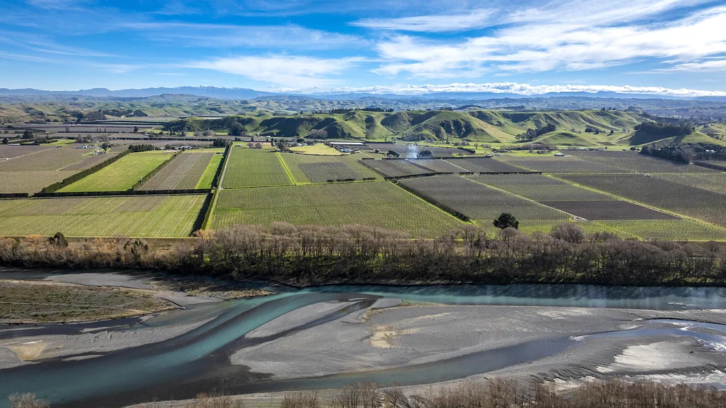 Twyford  Strategic portfolio of five Hawke's Bay orchards