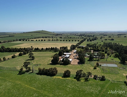 334 Ullina-Kooroocheang Road, Ullina, Ballarat, 3 कमरे, 1 बाथरूम, Lifestyle Property