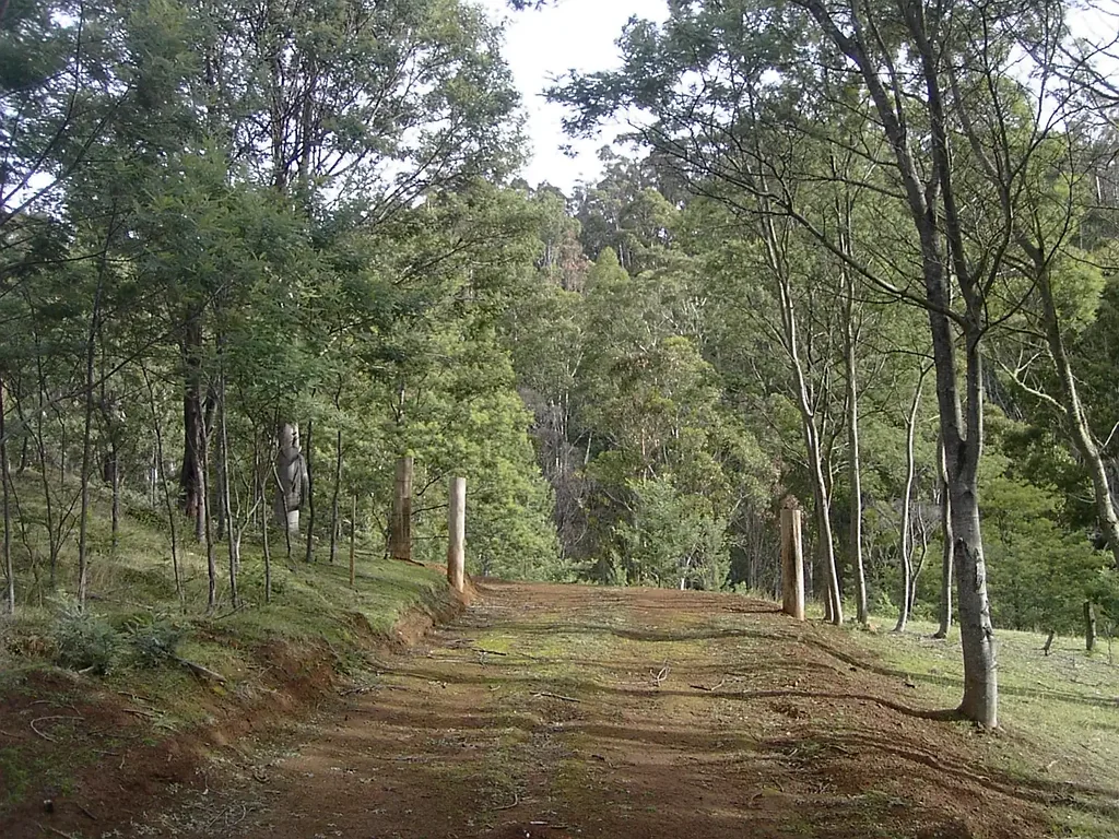 Colebrook  18 acre secluded bush block Colebrook area Tasmania zoned Rural