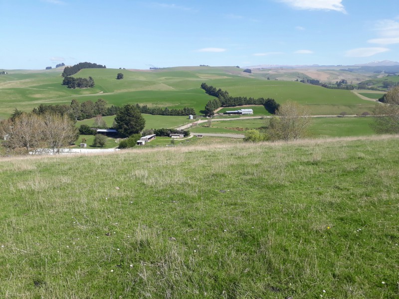 144 Tokarahi-Duntroon Road, Five Forks and Surrounds, Waitaki, 0 Kuwarto, 1 Banyo