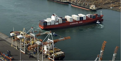 八月份乳制品价格的回升带动了新西兰商品价格的上涨