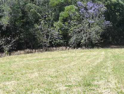 સરનામું રાખવામાં આવ્યું, Barrine, QLD 4872, 0 રૂમ, 0 બાથરૂમ, Lifestyle Property