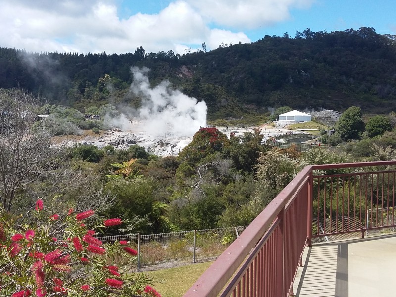 424 Fenton Street, Whakarewarewa, Rotorua, 0 Schlafzimmer, 1 Badezimmer, Commercial Land