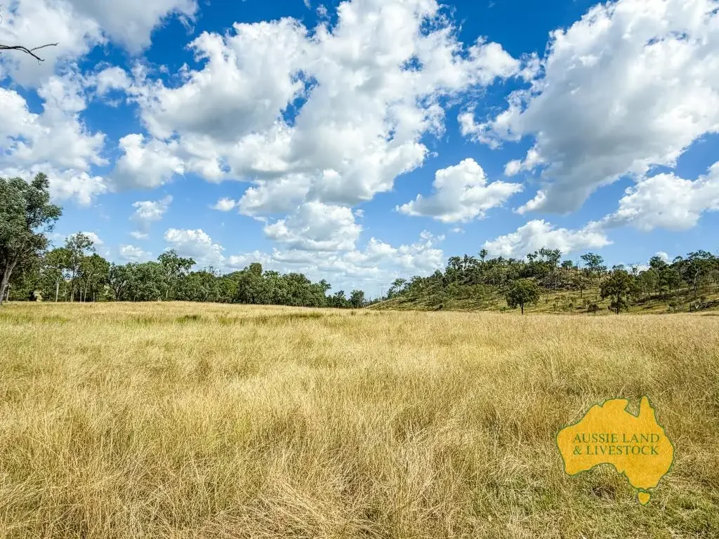 Philpott North Burnett Grazing Escape