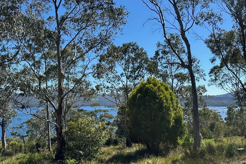 White Beach  A Coastal Sanctuary Awaits – Lot 3 512 White Beach Rd