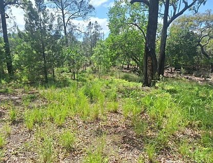 5 Blue Vista St, Macleay Island, Redland City Region, 0 chambres, 0 salles de bain, Section
