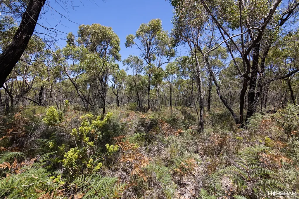 Edenhope  13.78 Acre Bush Block