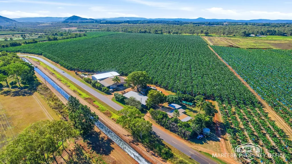 Walkamin  WALKAMIN BANANA FARM - RESIDENCE, PACKING SHED & EXPANSION POTENTIAL