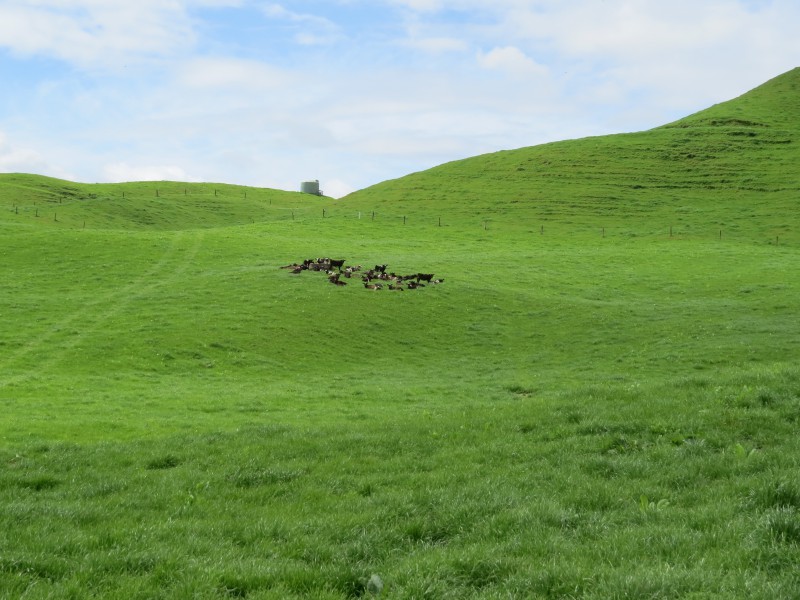 348 Arataki Road, Mangakino, Taupo, 0 habitaciones, 0 baños