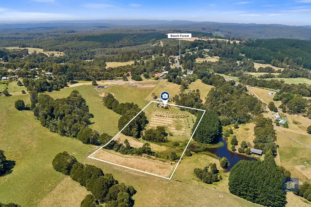 Beech Forest  Your Productive Paradise in the Otways…
