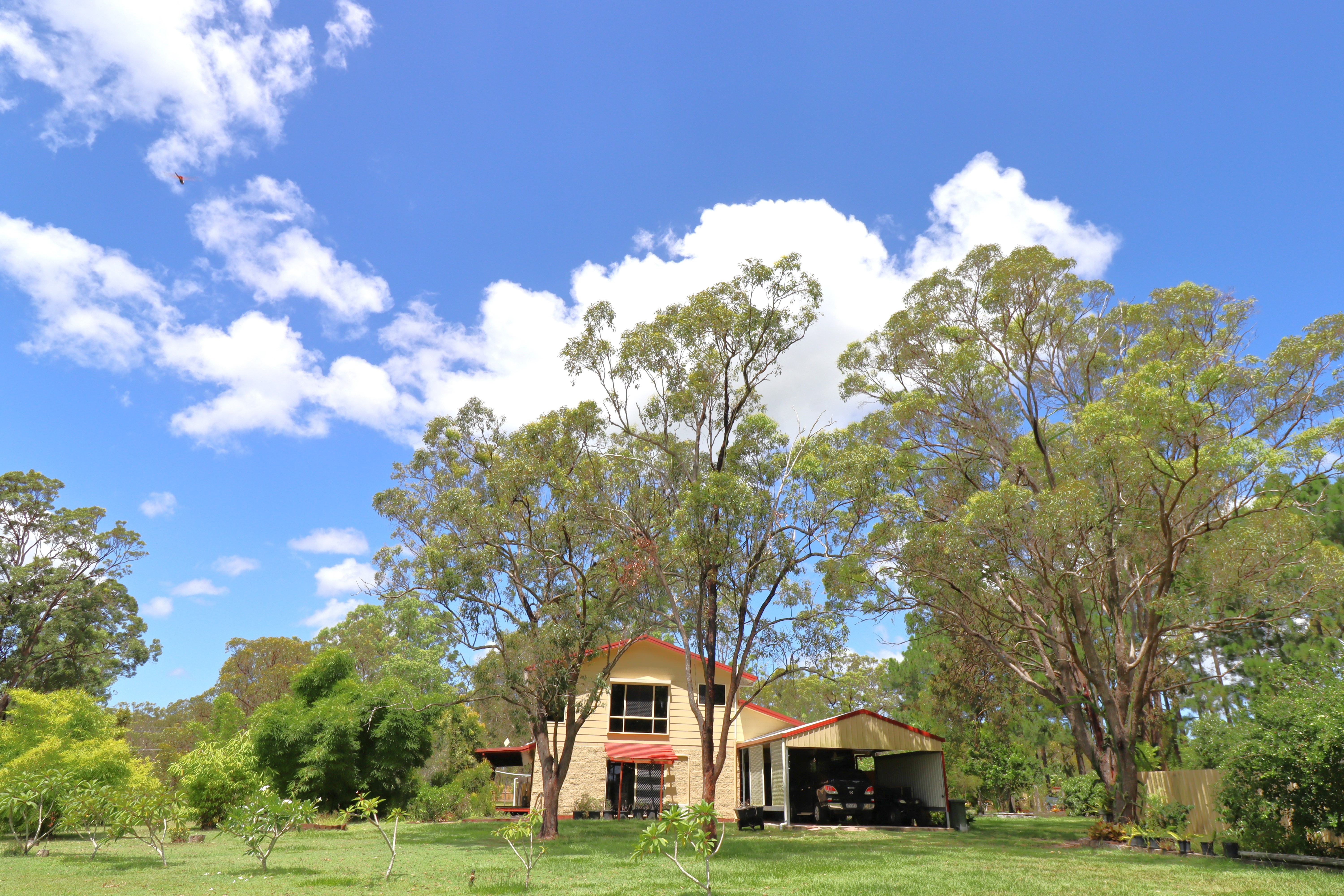 240 MOORABINDA DR, SUNSHINE ACRES QLD 4655, 0 Bedrooms, 0 Bathrooms, House