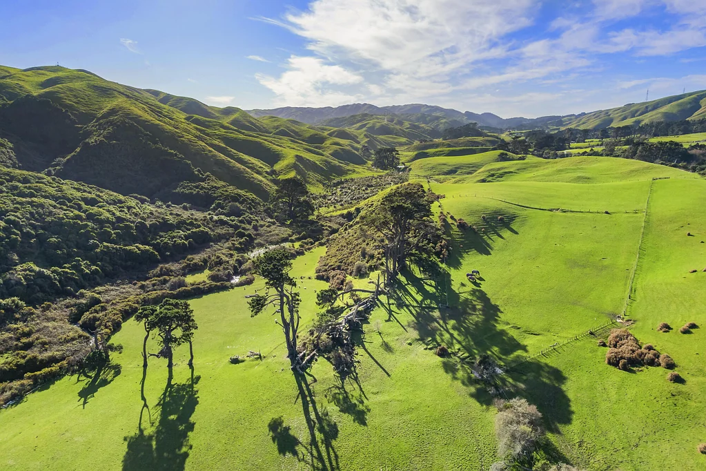 Ohariu 3ห้องนอน 20 HECTARES WITH SUBDIVISION POTENTIAL!
