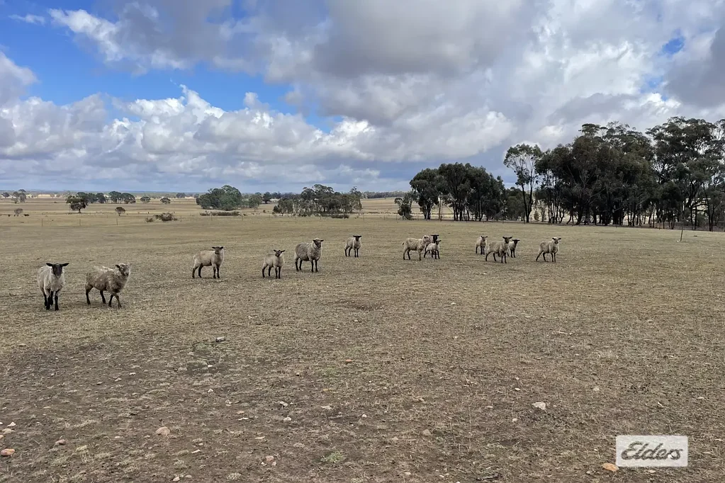 Landsborough Rare 90 Acre Rural Lifestyle Opportunity