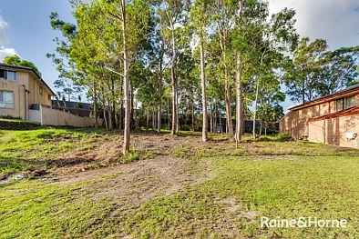 19 Ceylon Close, Cameron Park, NSW 2285, 0房, 0浴, Section