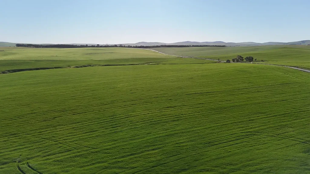 Spalding Quality Hills Cropping Land