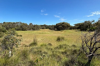 其他 - LOT 9 Flinders Highway, Wangary, SA 5607