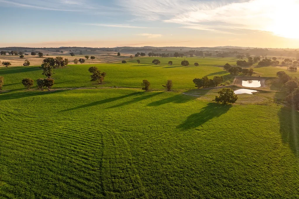 Mangoplah "KALOONA" 
PREMIER MIXED FARMING OPPORTUNITY - HOLBROOK
1371.81*Acres/555.15*Ha