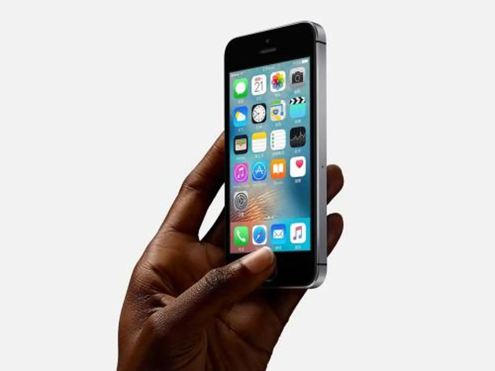 天风证券郭明祺:iPhone SE 2明年一季度发售,售价399美元