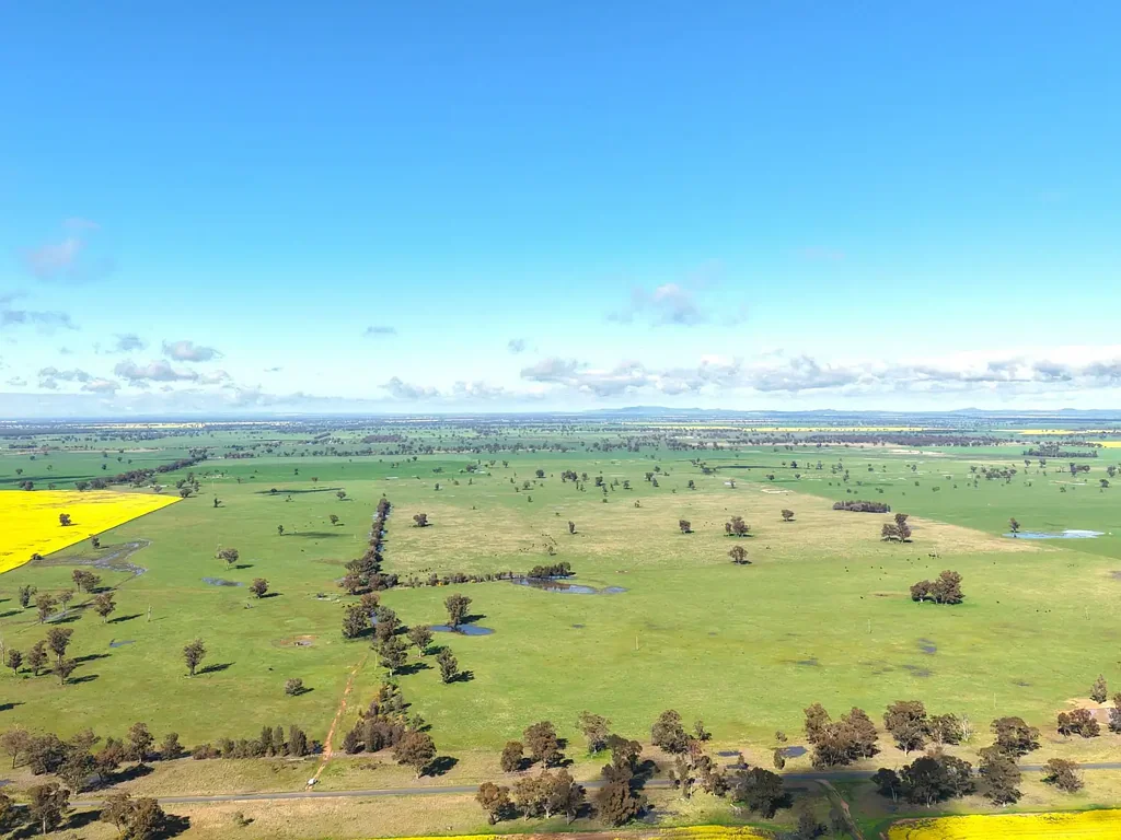 Quandialla 601 Acres – Quality Mixed Farming Country in the Quandialla District