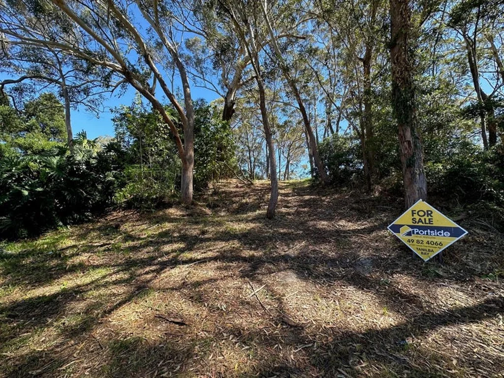 23 James Scott Crescent, Lemon Tree Passage, NSW 2319