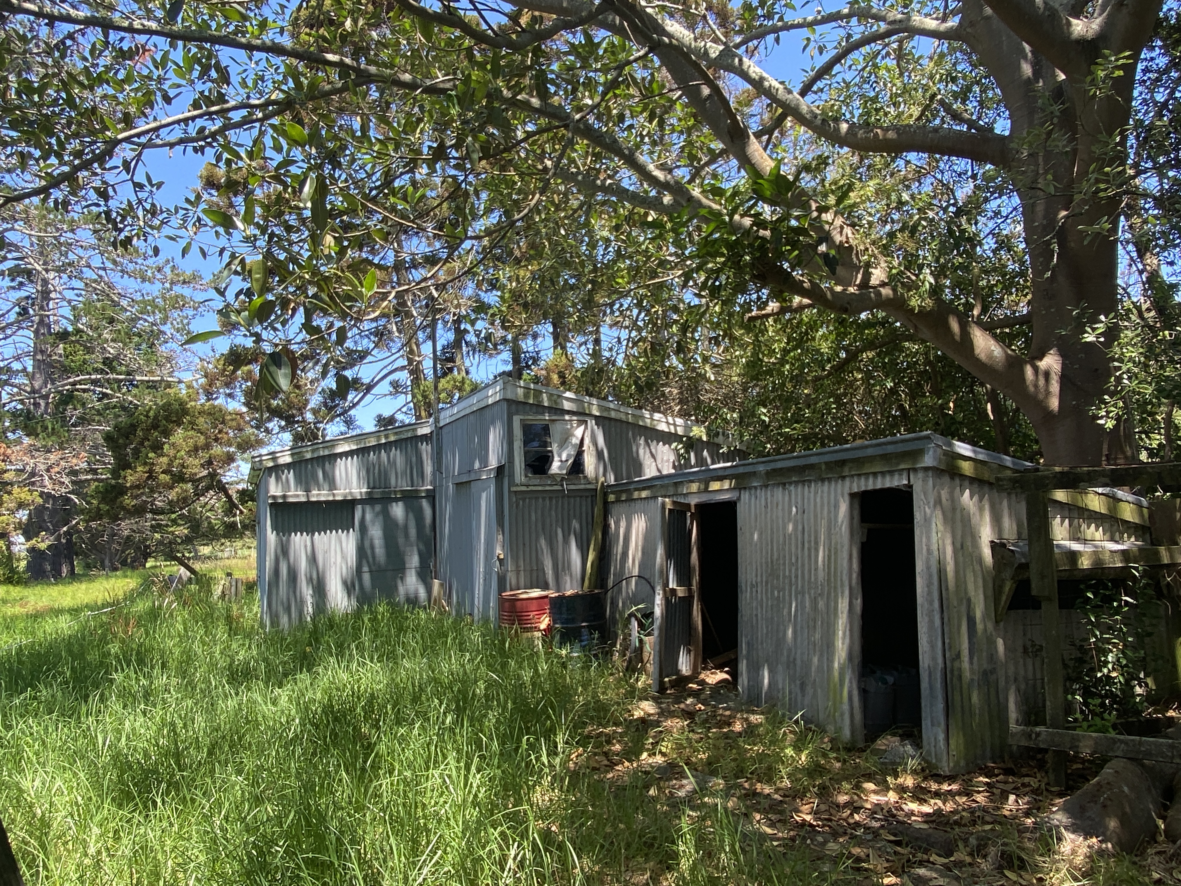 55 Pouto Road, Dargaville, Kaipara, 0 침실, 0 욕실