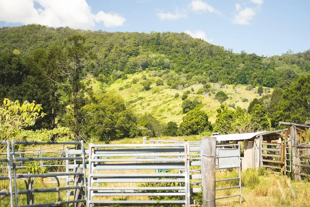 63 Gibson Road, Mooloo, QLD 4570